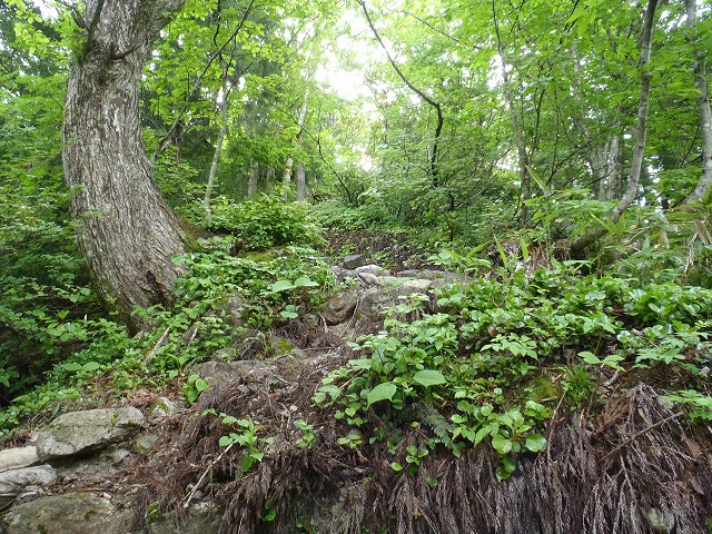 c0147398_0213899.jpg