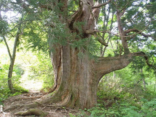 c0147398_0214727.jpg