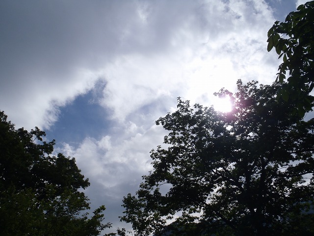 c0147398_0221688.jpg