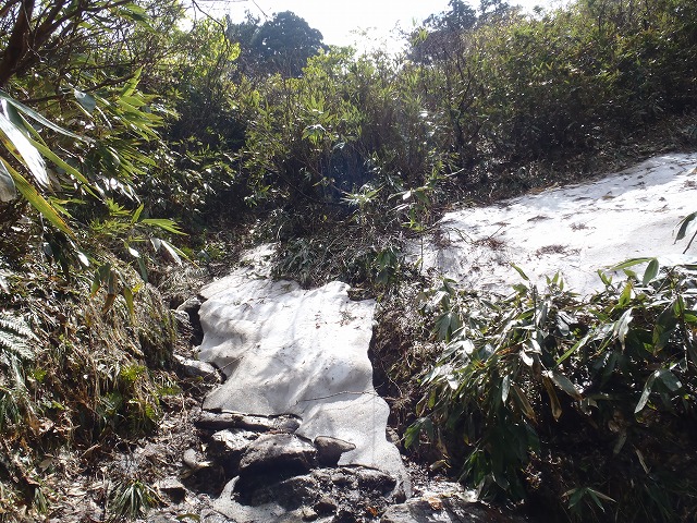c0147398_0224710.jpg