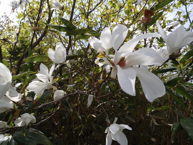 c0147398_0231732.jpg