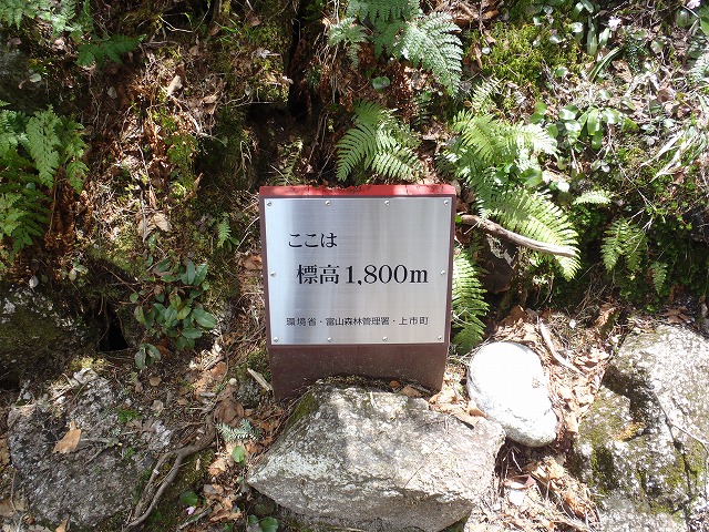 c0147398_0232767.jpg