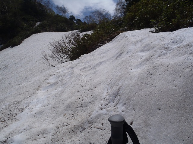 c0147398_0233673.jpg