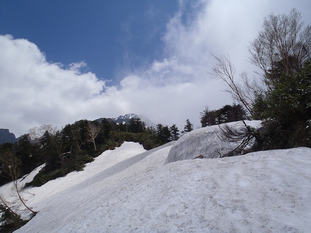 c0147398_024030.jpg