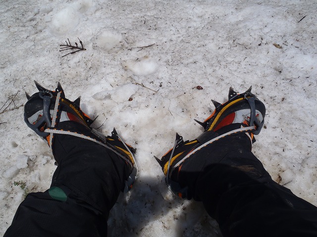 c0147398_0242566.jpg