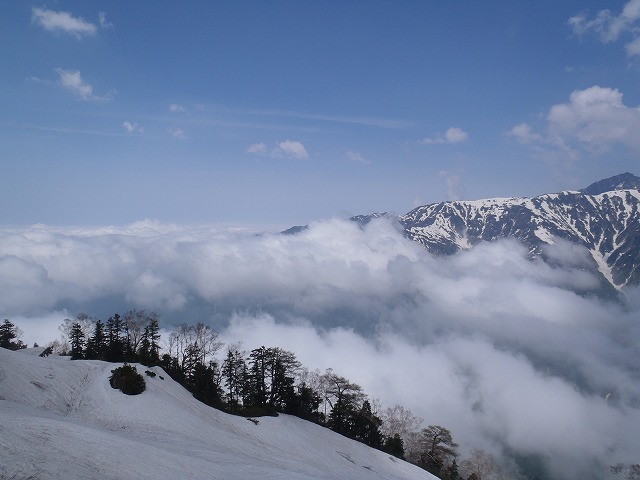 c0147398_0244083.jpg