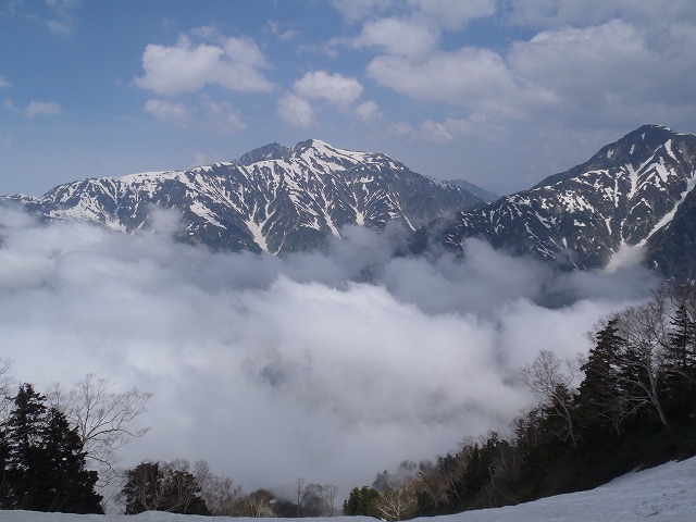c0147398_0245115.jpg