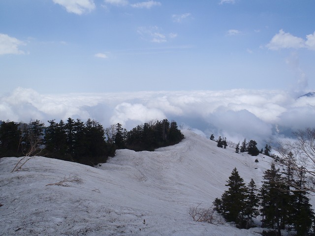 c0147398_025368.jpg