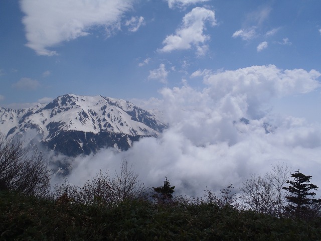 c0147398_0255345.jpg