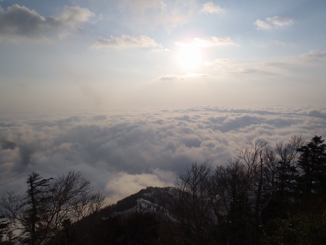 c0147398_0284337.jpg
