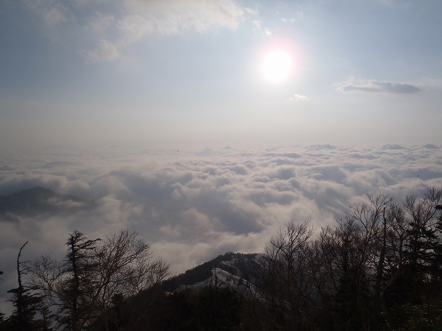 c0147398_028798.jpg