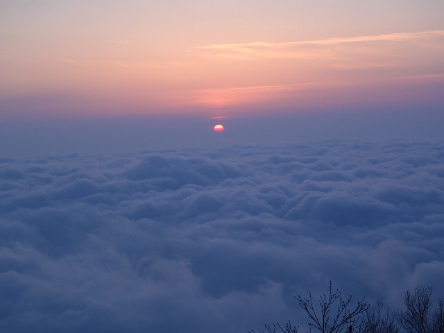 c0147398_0291415.jpg