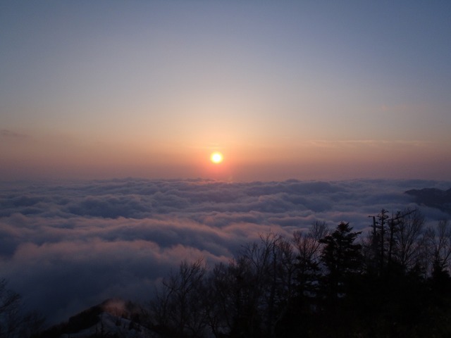 c0147398_029483.jpg