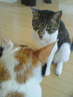 a0065800_20311084.jpg