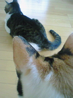 a0065800_20315944.jpg