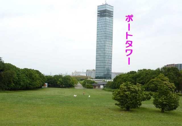 e0018604_11294921.jpg