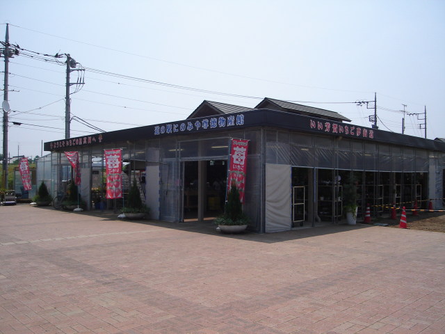 a0116205_221214.jpg