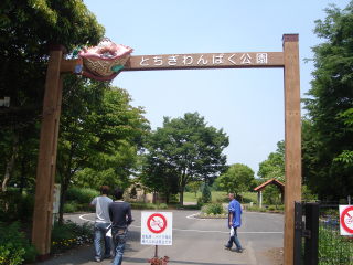 a0116205_2275034.jpg
