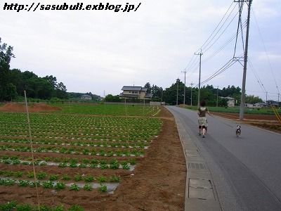 e0145805_2182135.jpg