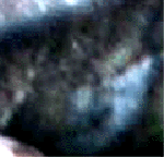 e0103408_12443937.gif