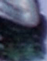 e0103408_12454641.gif