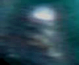 e0103408_12465344.gif