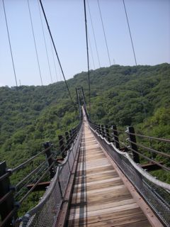 b0183911_20564472.jpg