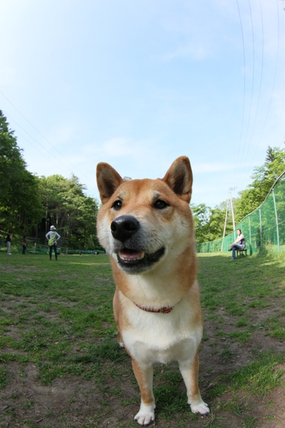 a0109914_23481576.jpg