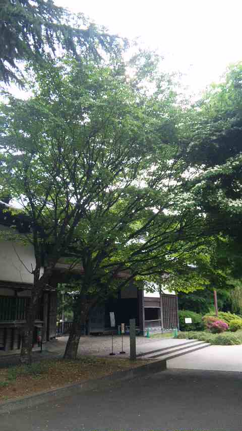 f0223014_20255514.jpg