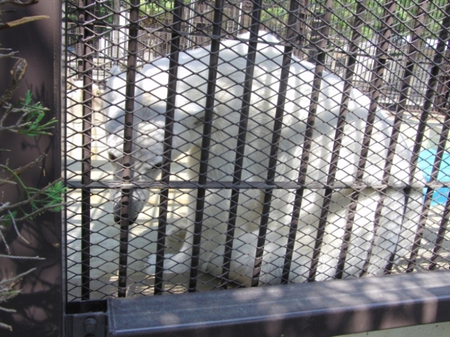 e0163618_2393330.jpg
