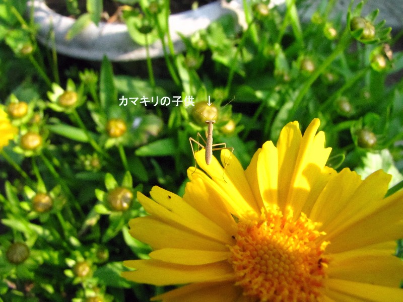 a0004023_212392.jpg