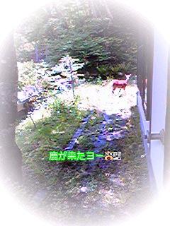 d0035823_8523799.jpg