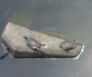 f0037623_22404972.jpg