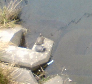 f0037623_22411116.jpg