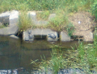 f0037623_22412885.jpg