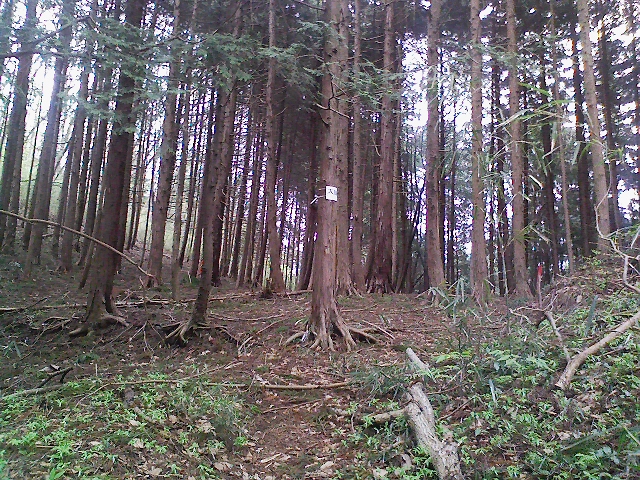 b0184725_14361296.jpg