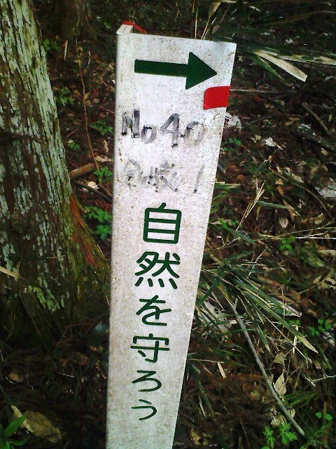 b0184725_15203158.jpg