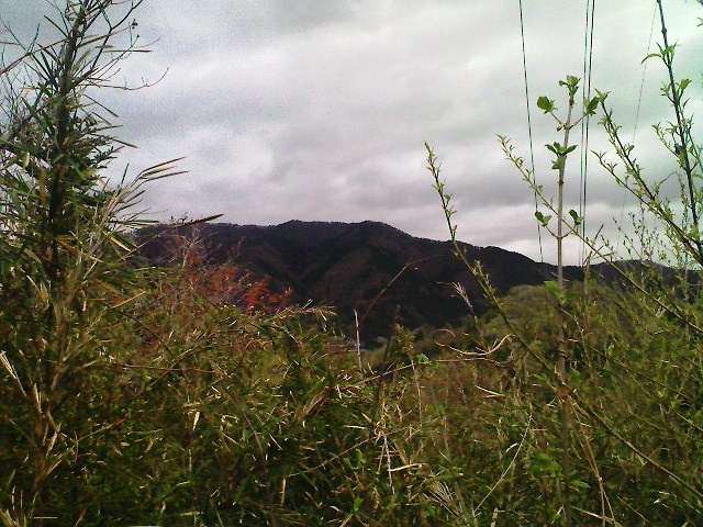 b0184725_16115920.jpg