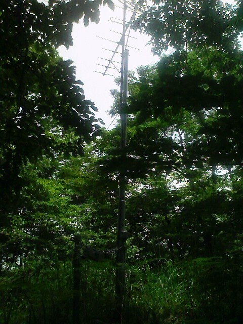 b0184725_21121932.jpg