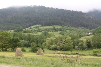 a0163227_705739.jpg