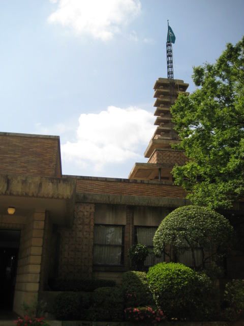 d0147727_8274723.jpg