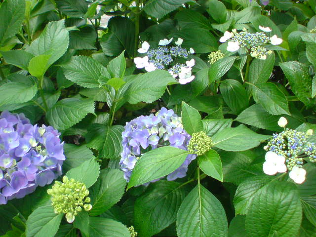 e0016828_10564185.jpg