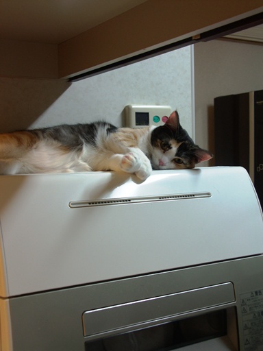 f0116029_1342022.jpg