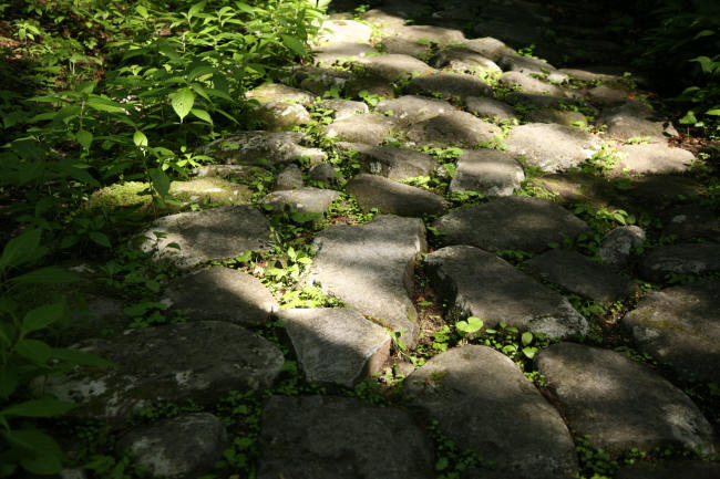 f0017530_213634.jpg