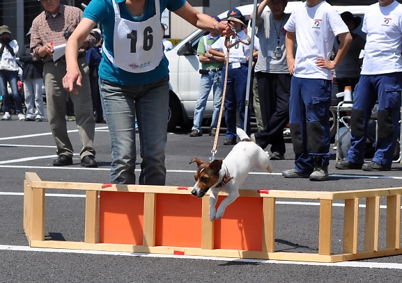 a0092032_0454328.jpg