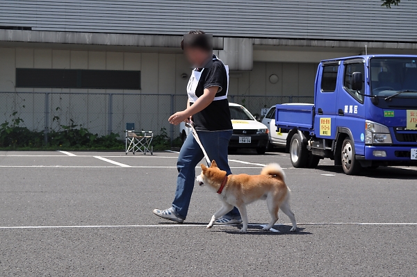 a0092032_113880.jpg