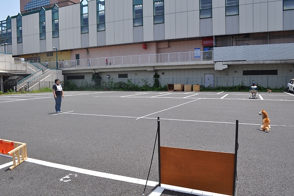 a0092032_114113.jpg