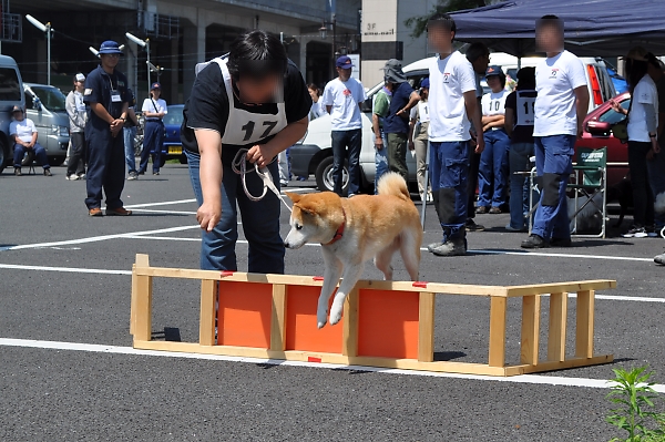 a0092032_131955.jpg