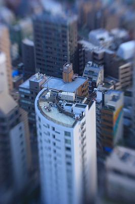 c0229539_1344026.jpg