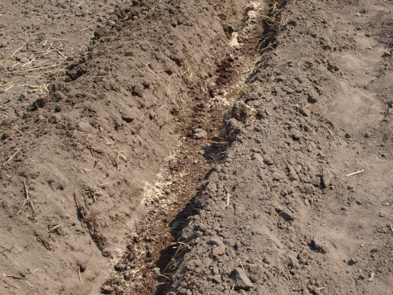 c0072843_1954687.jpg